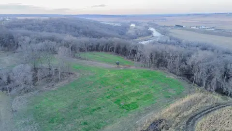 61.75 Acres Vacant Land