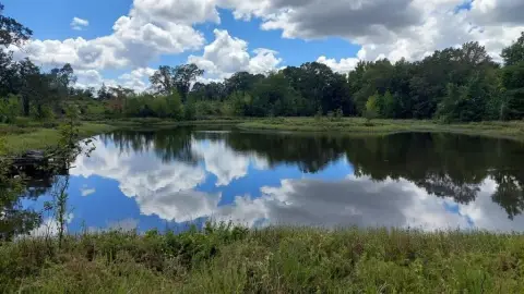 566+ Acre Tract in Bagwell, TX