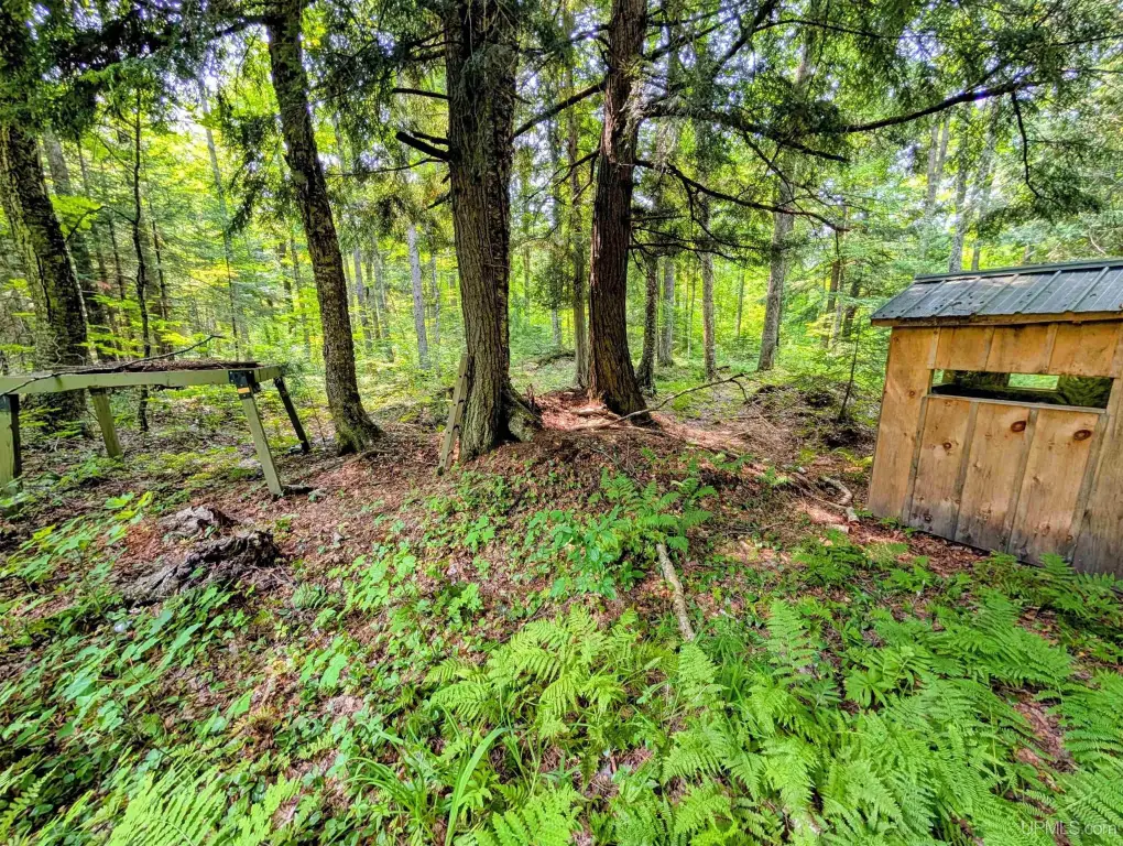Picture 18