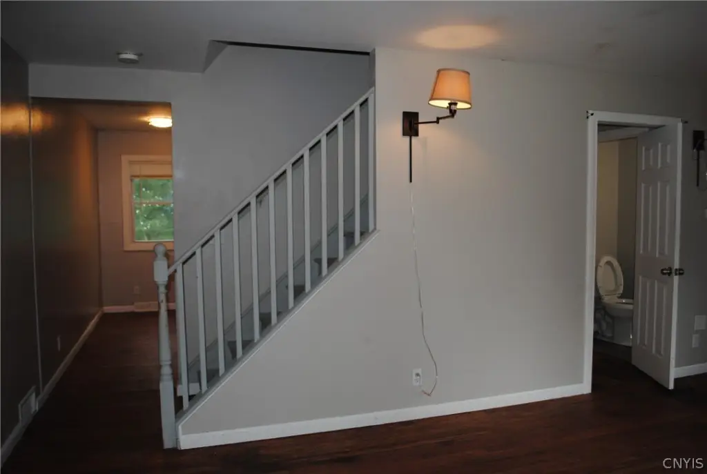 Picture 8