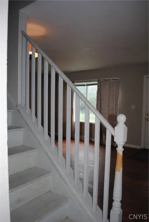 Picture 17