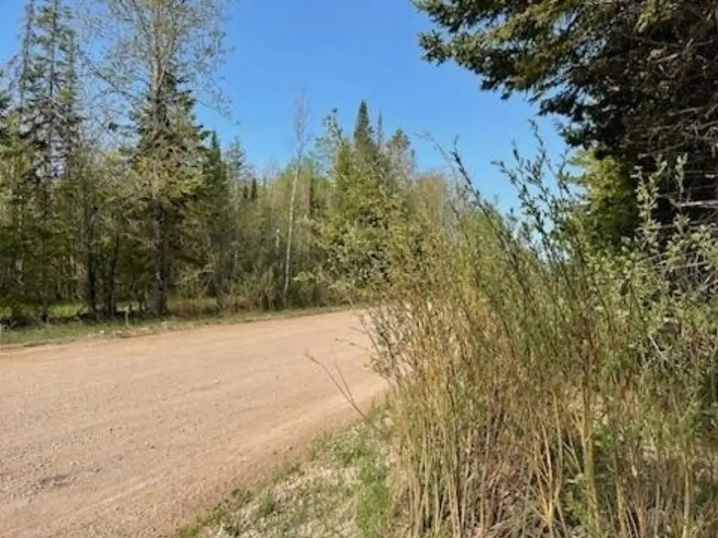 Picture 13
