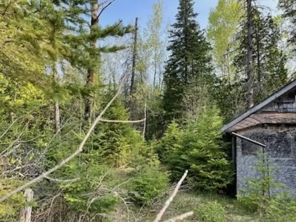 Picture 3