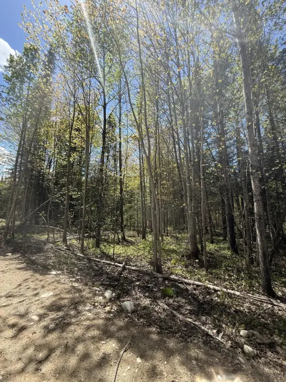 Picture 11