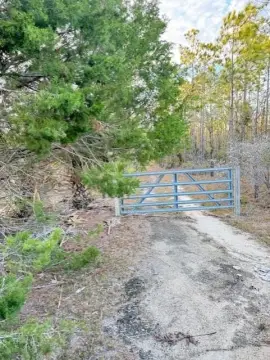 5 Acres in Steinhatchee, FL