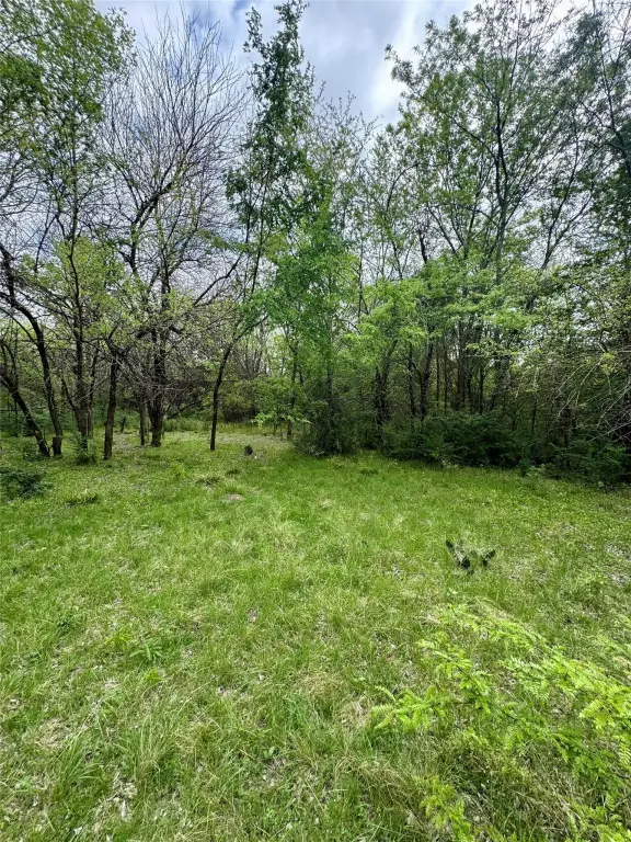 Picture 7