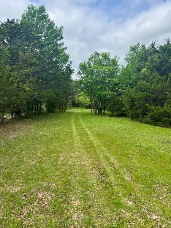 Picture 17