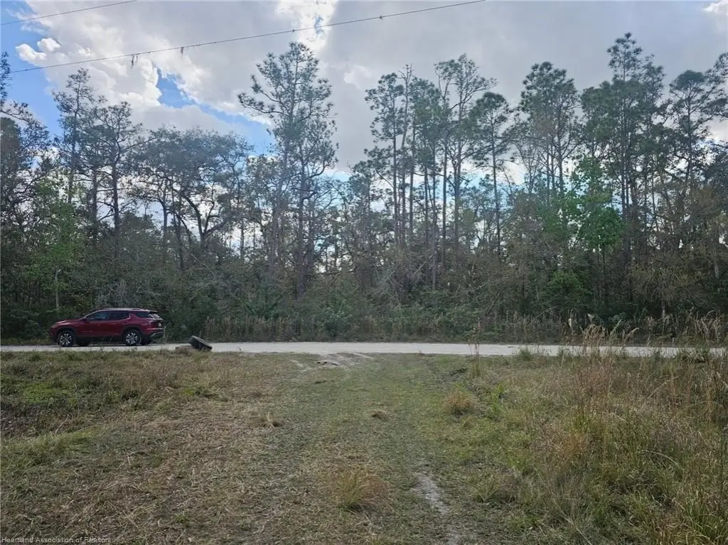 Picture 6