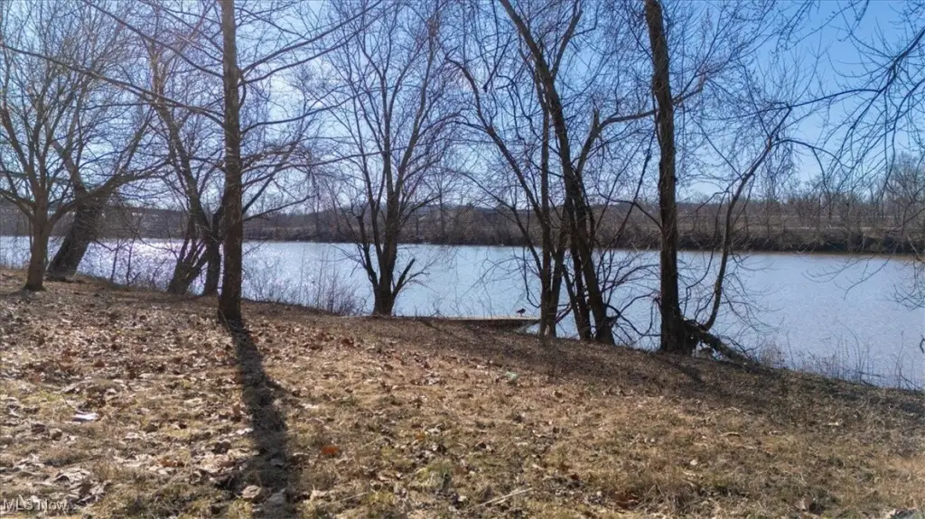 Picture 12