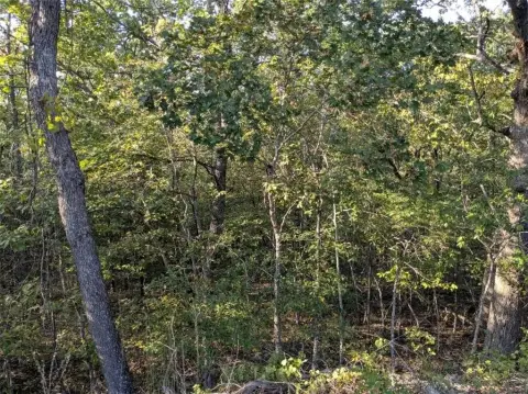 Holiday Island Land for Sale