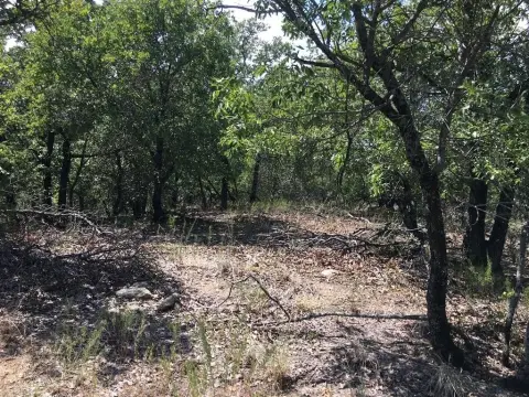 Land for Dream Home in Bowie