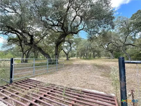 Oak-Covered Hunting Land