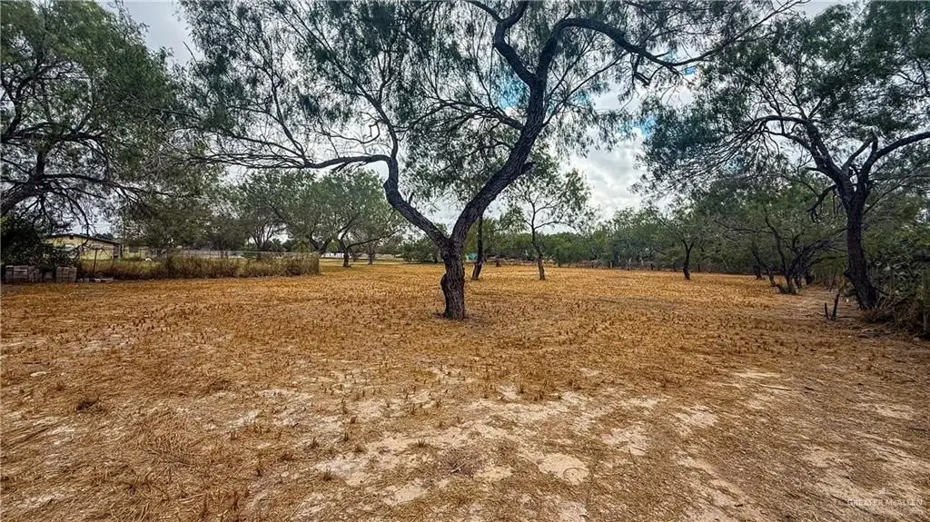Picture 22