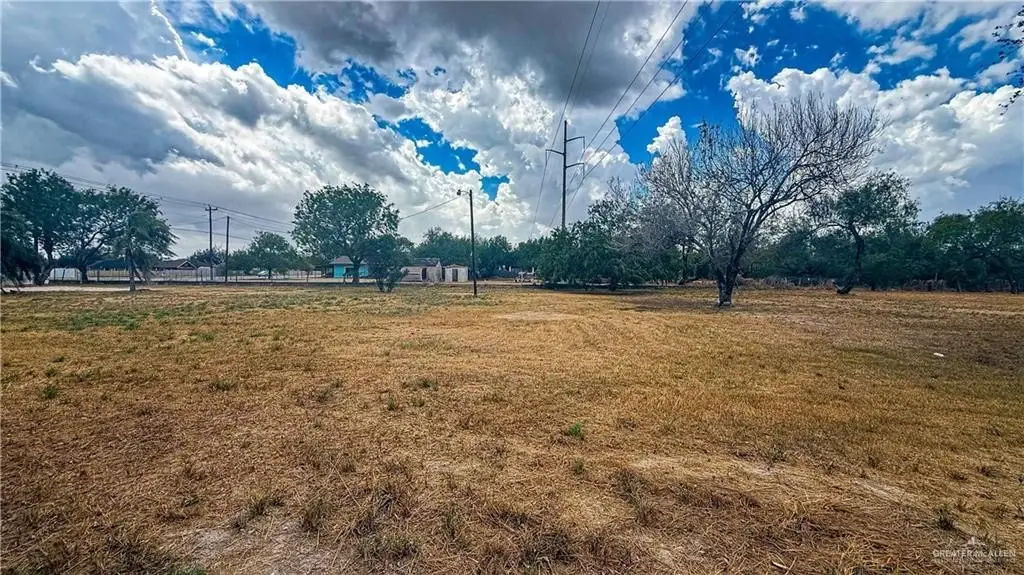 Picture 21