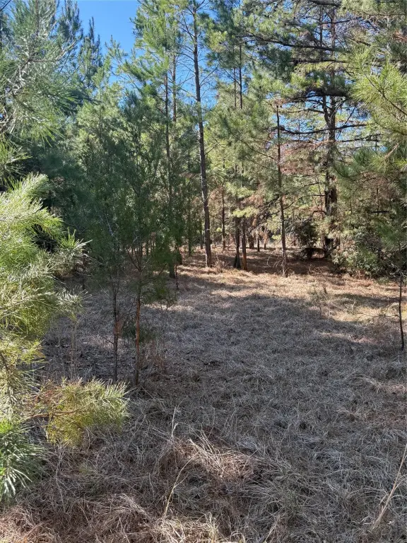 Picture 10