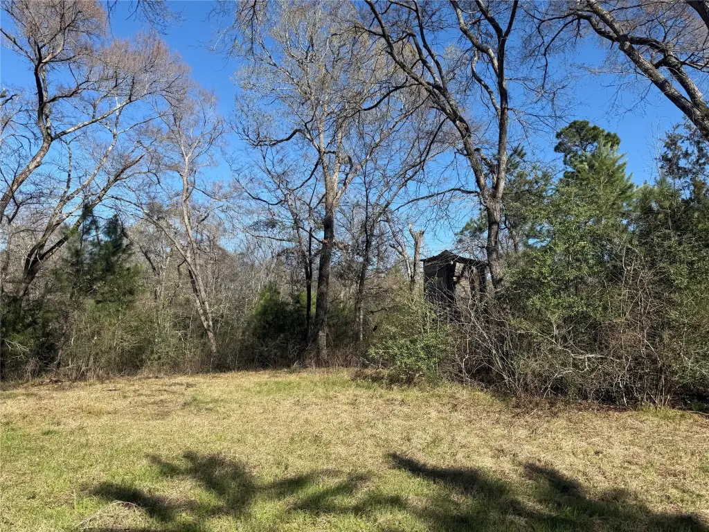 Picture 2