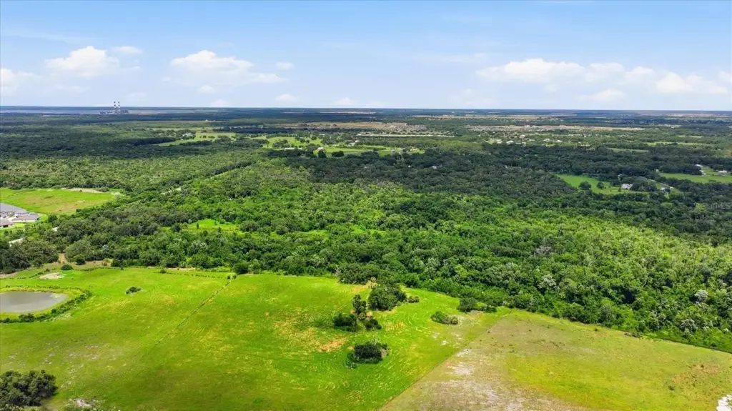 Picture 53