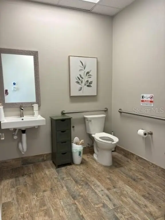 Picture 17