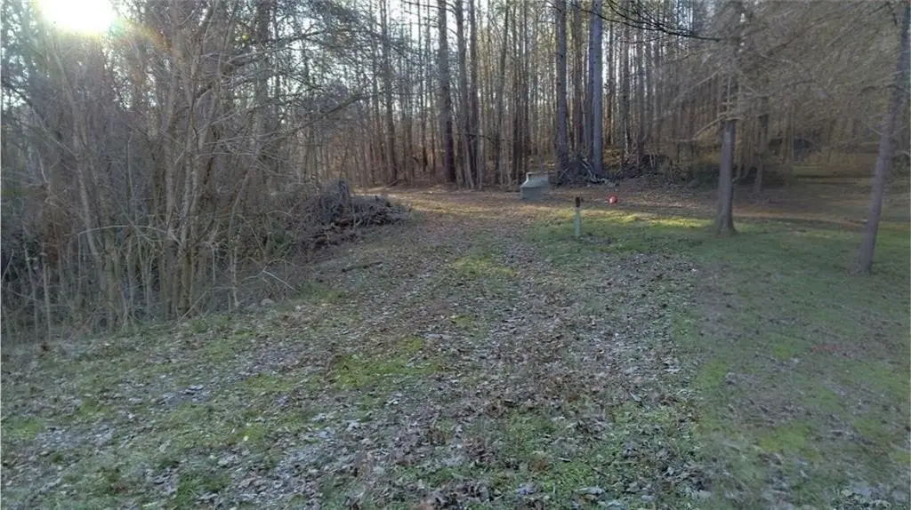 Picture 4
