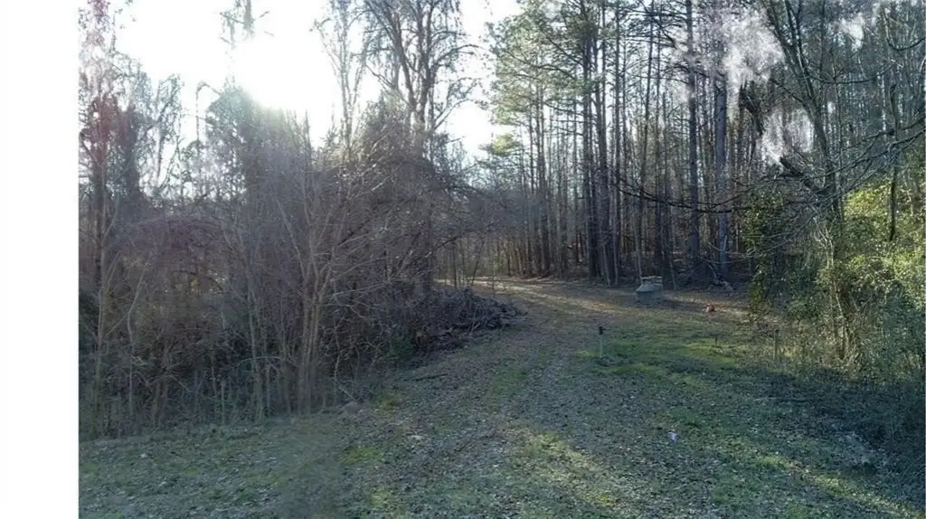 Picture 11