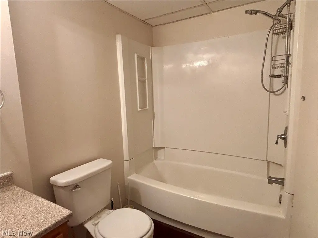 Picture 19