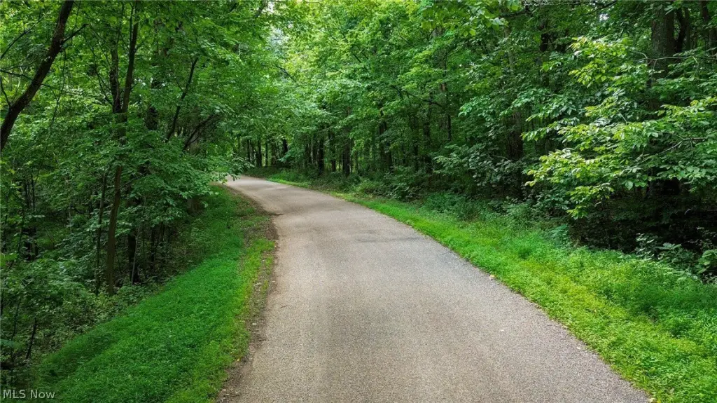 Picture 20