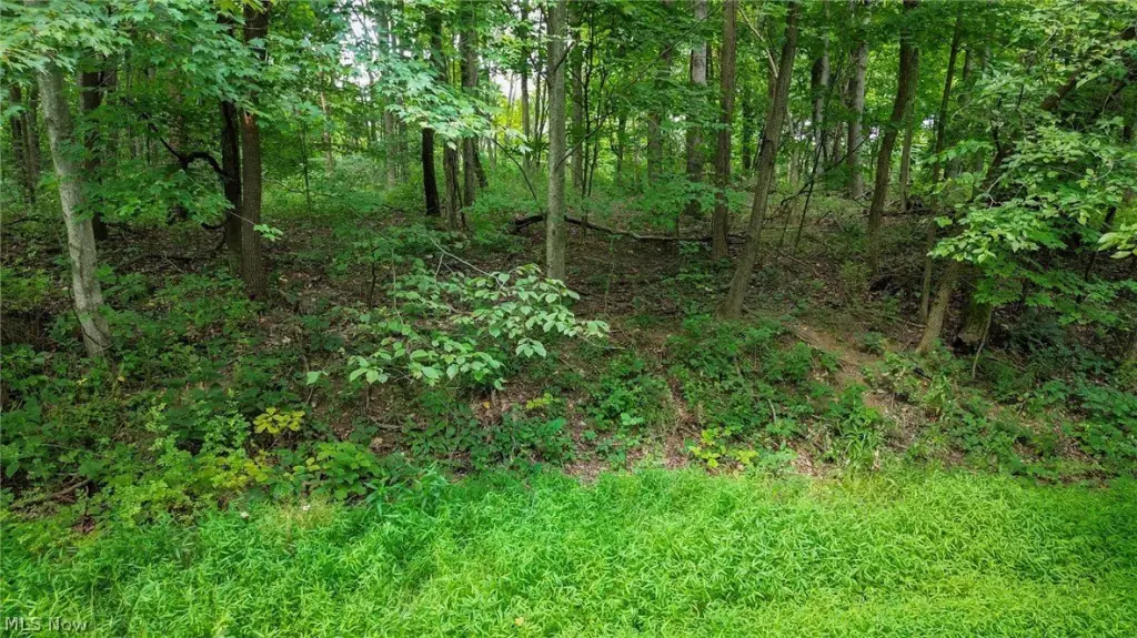 Picture 19