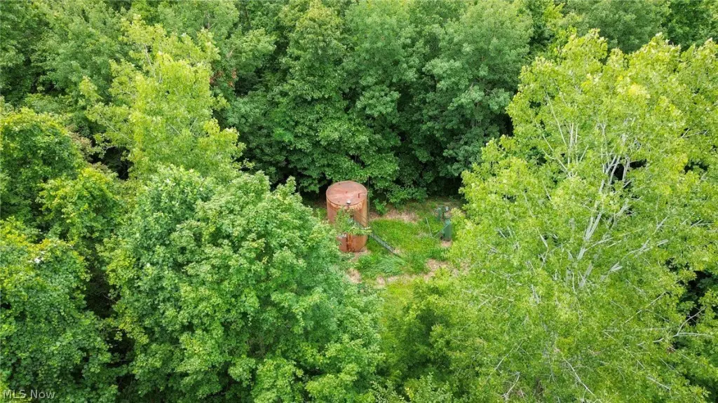 Picture 41