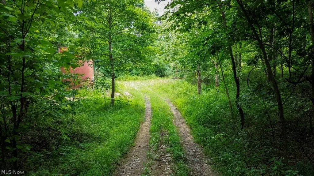 Picture 30