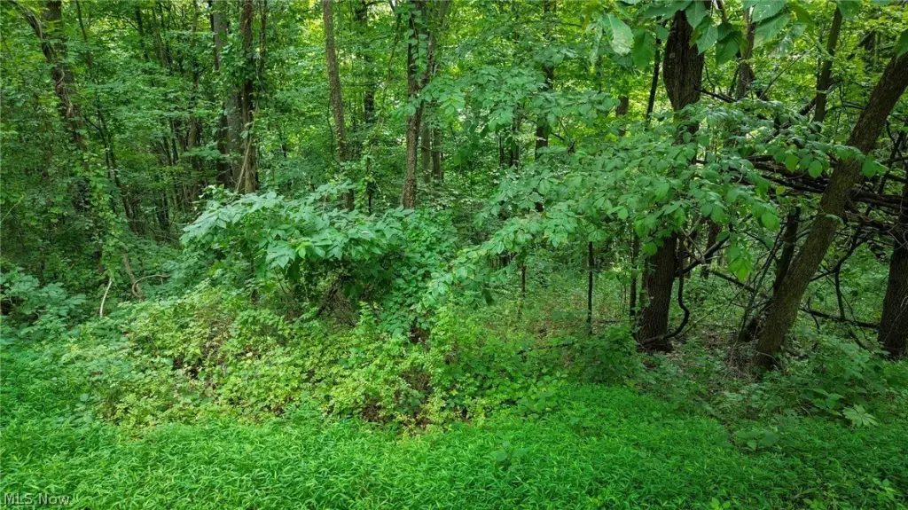 Picture 21