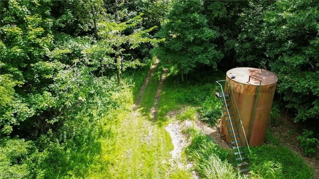 Picture 12
