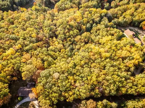 Heavily Wooded 10-Acre Land Parcel