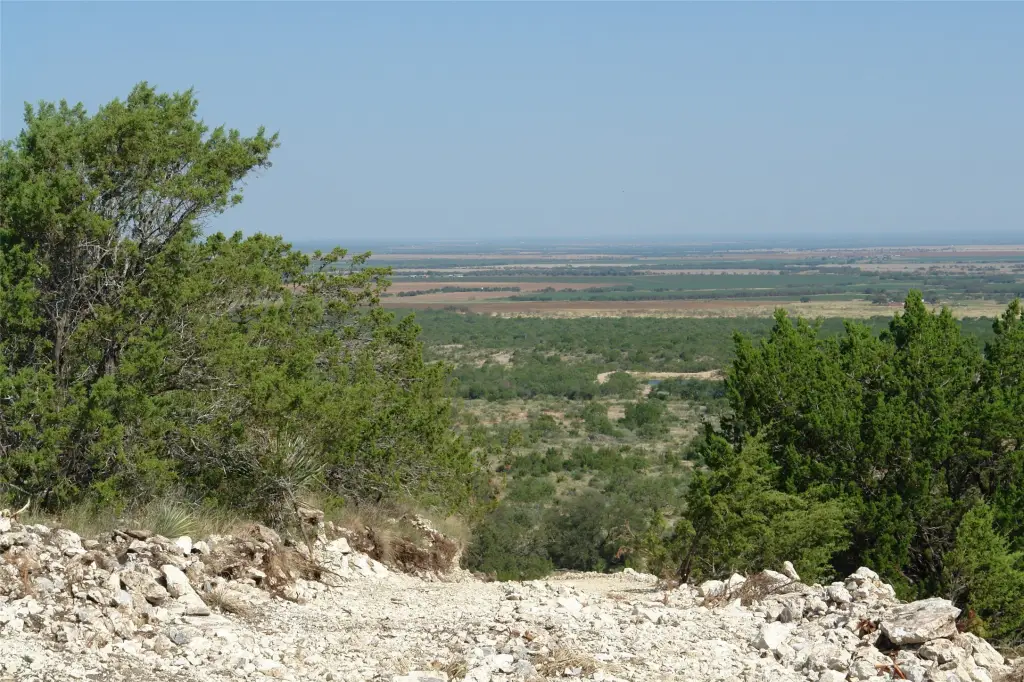 Picture 14