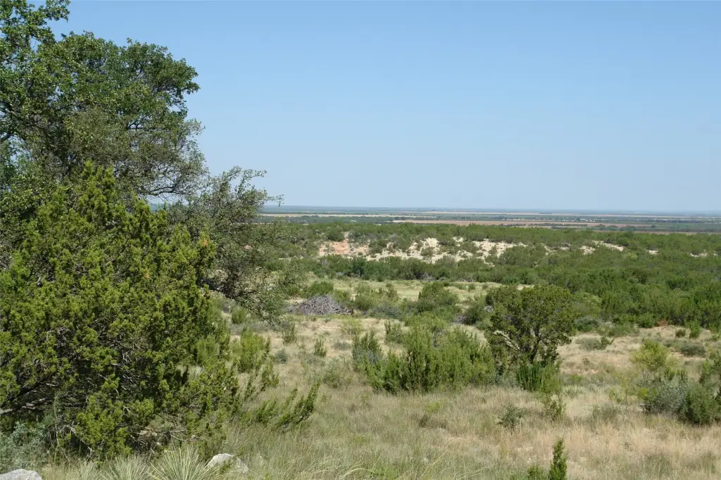 Picture 21