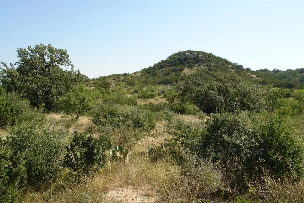 Picture 23