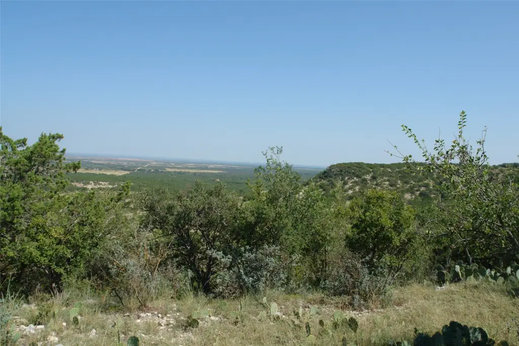 Picture 28