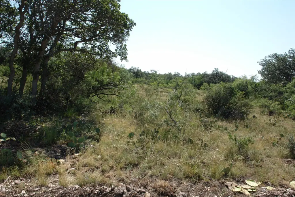 Picture 29