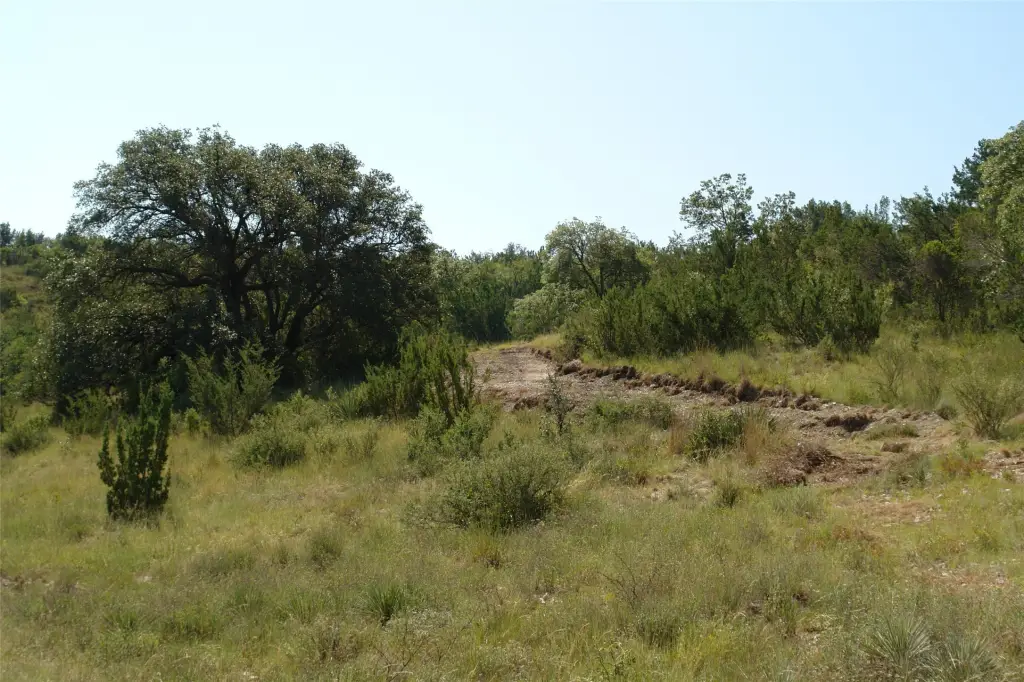 Picture 26
