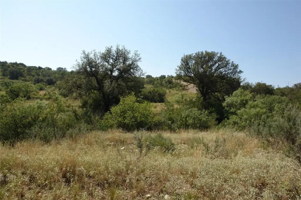 Picture 24