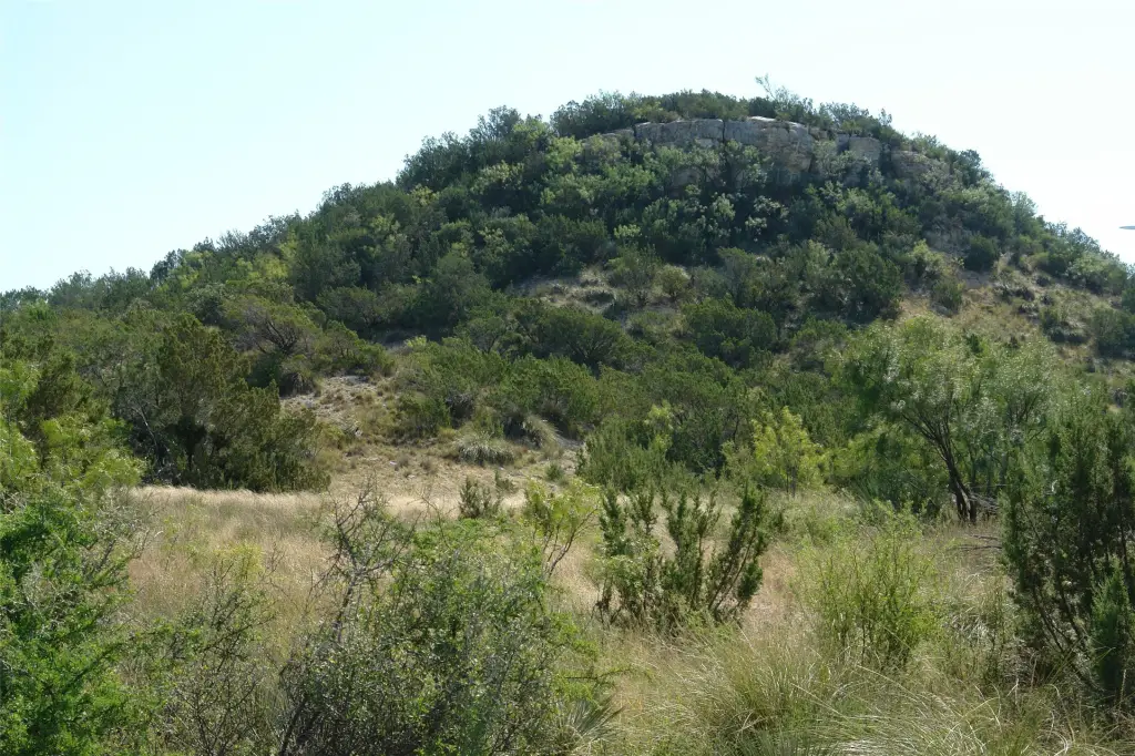 Picture 20