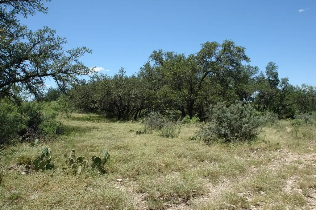 Picture 12