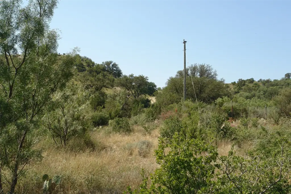 Picture 25