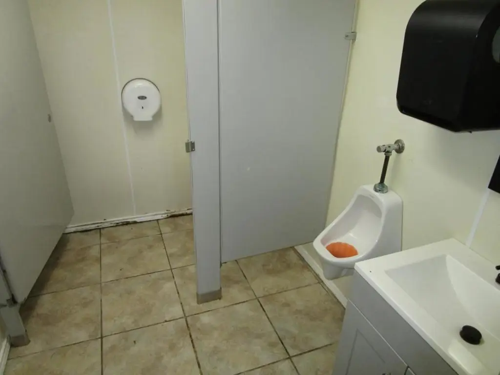 Picture 11