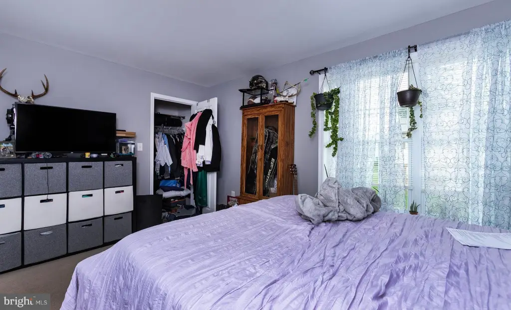 Picture 23