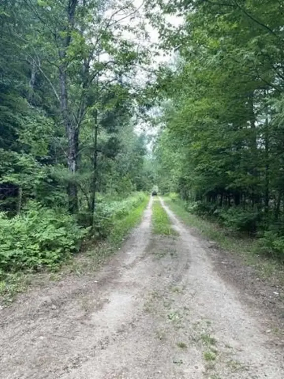 Picture 46