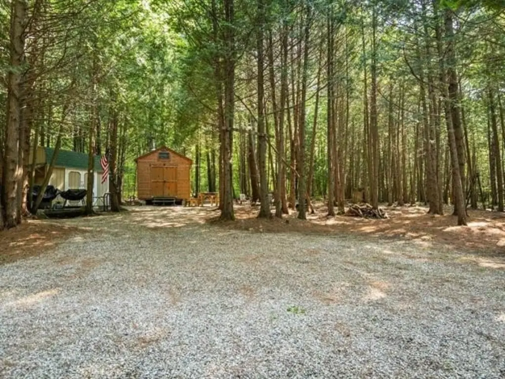 Picture 14
