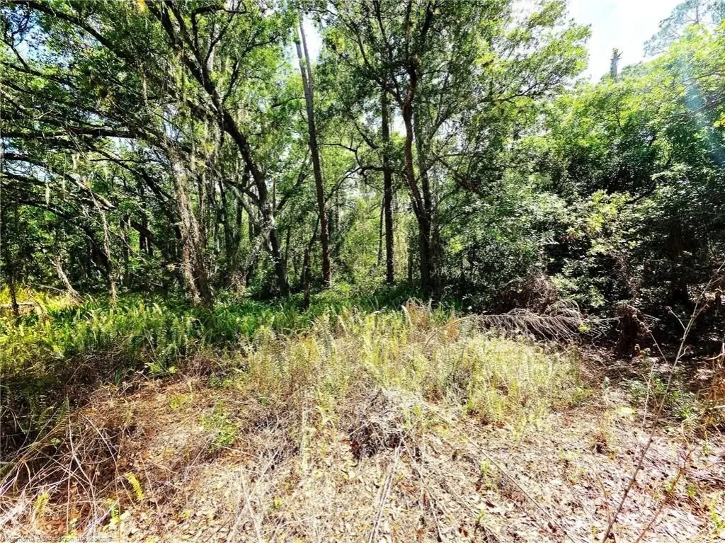 Picture 10