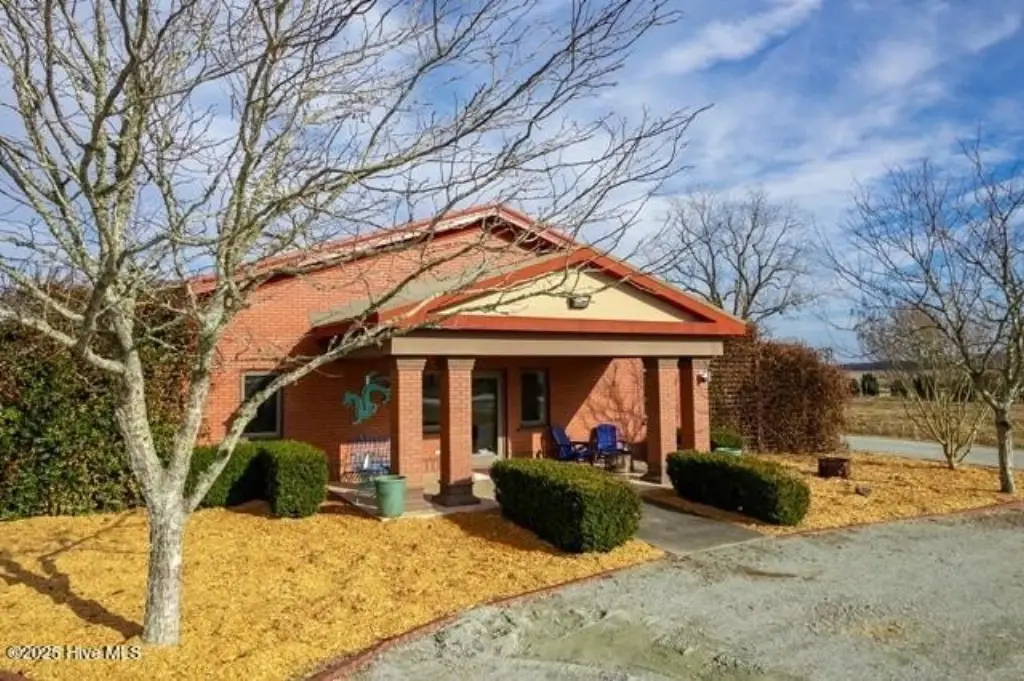 Picture 5