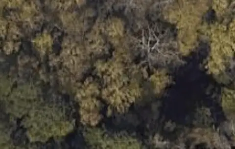 Residential Lot in Augusta, GA