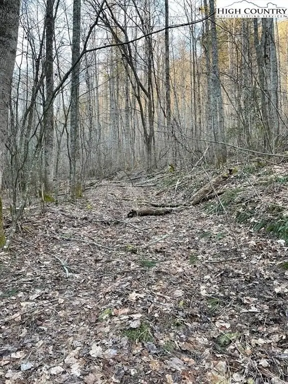 Picture 3
